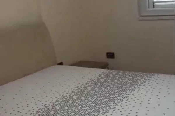 Shtepi me qera Apartament ne Tirane, 2+1, Mobilimi E mobiluar, Pagesa 600  Euro.