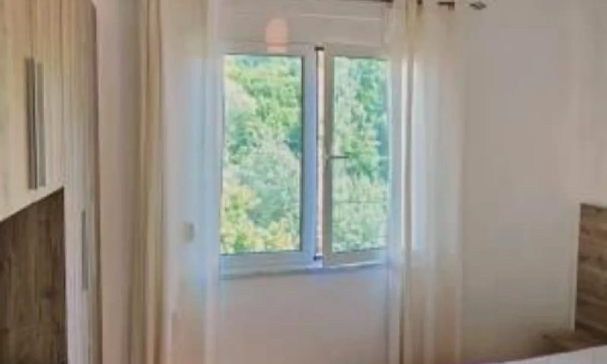 Shtepi me qera Apartament ne Tirane, 1+1, Mobilimi E mobiluar, Pagesa 480  Euro.