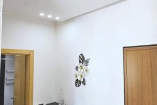 Shtepi me qera Apartament ne Tirane, 1+1, Mobilimi E mobiluar, Pagesa 480  Euro.