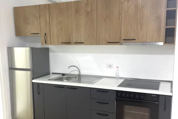 Shtepi me qera Apartament ne Tirane, 1+1, Mobilimi E mobiluar, Pagesa 500  Euro.