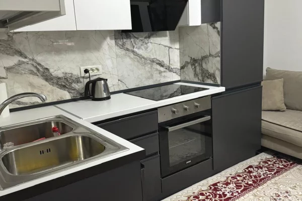 Shtepi me qera Apartament ne Tirane, 1+1, Mobilimi E mobiluar, Pagesa 43,000  Leke.