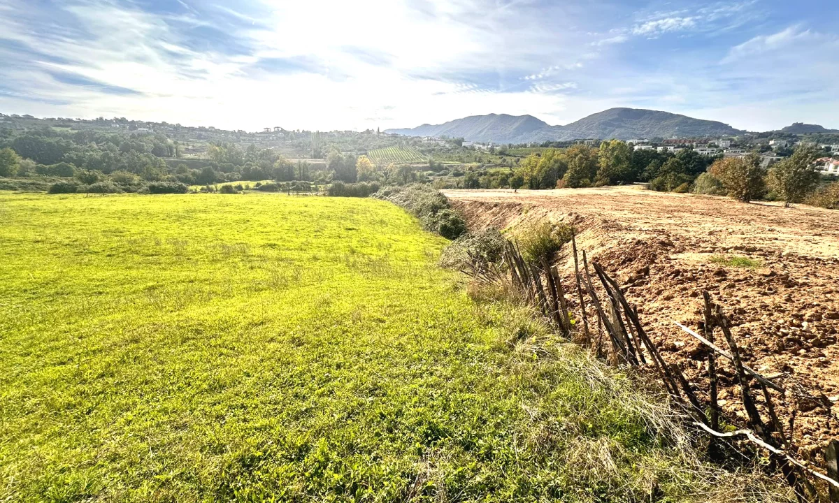 Ofrojme Toke per ndertim prane T.E.G