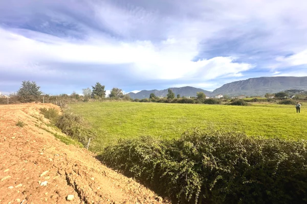 Truall ose Toke ne Tirane - 510,000 Euro