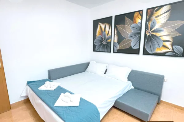 Shtepi me qera Apartament ne Tirane, 1+1, Mobilimi E mobiluar, Pagesa 550  Euro.