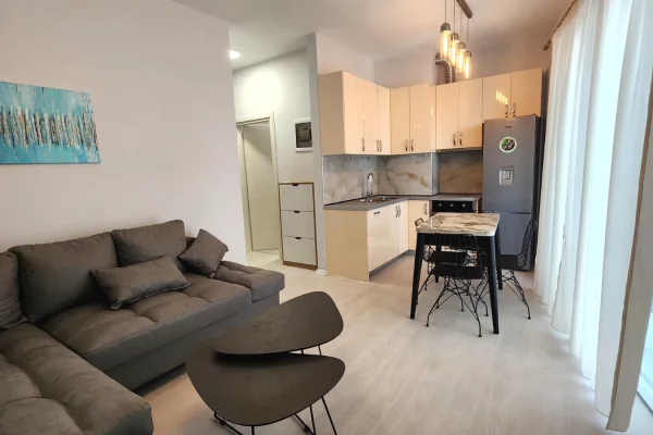 Shtepi me qera Apartament ne Tirane, 1+1, Mobilimi E mobiluar, Pagesa 50,000  Leke.