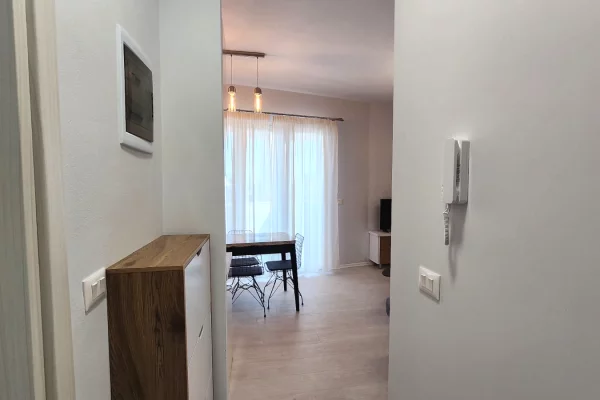 House for Rent 1+1 in Tirana - 50,000 Leke