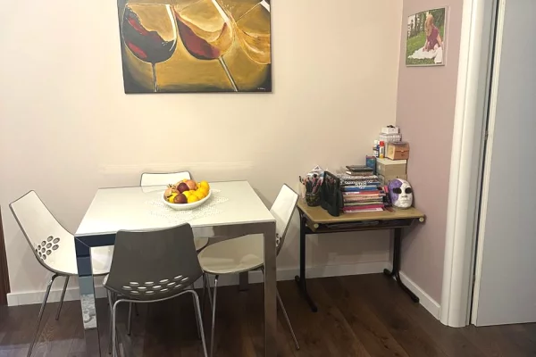 House for Rent 1+1 in Tirana - 600 Euro