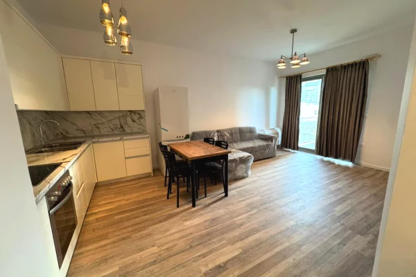 House for Rent 1+1 in Tirana - 58,000 Leke