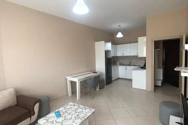 Shtepi ne shitje Apartament ne Tirane, 1+1, Mobilimi E mobiluar, Pagesa 117,000  Euro.