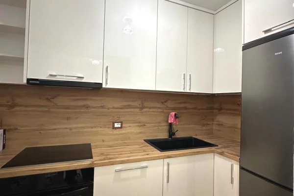 Shtepi me qera Apartament ne Tirane, 1+1, Mobilimi E mobiluar, Pagesa 500  Euro.