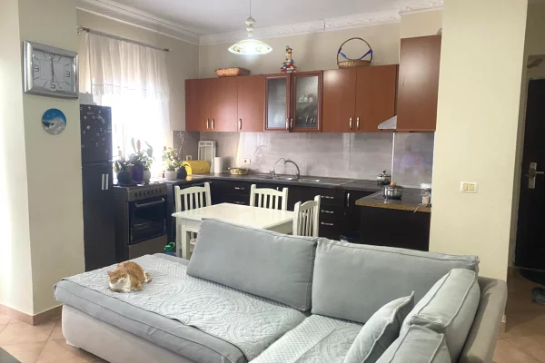 Shtepi ne shitje Apartament ne Tirane, 2+1, Mobilimi Bosh, pa mobiluar, Pagesa 13,600,000  Leke.