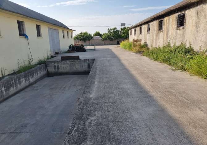 Ambiente Commerciale in Vendita 4+1 a Lushnja - 120,000 Euro