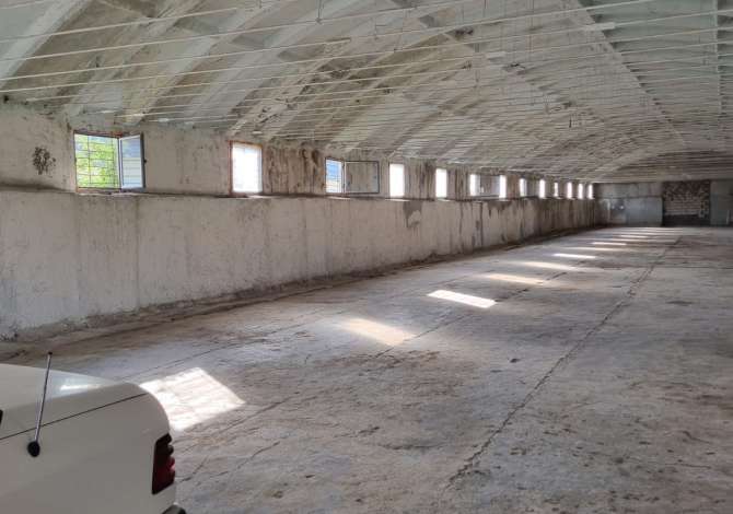 Shitet Truall+Magazine me siperfaqe 720m2 ne Plug, Lushnje.