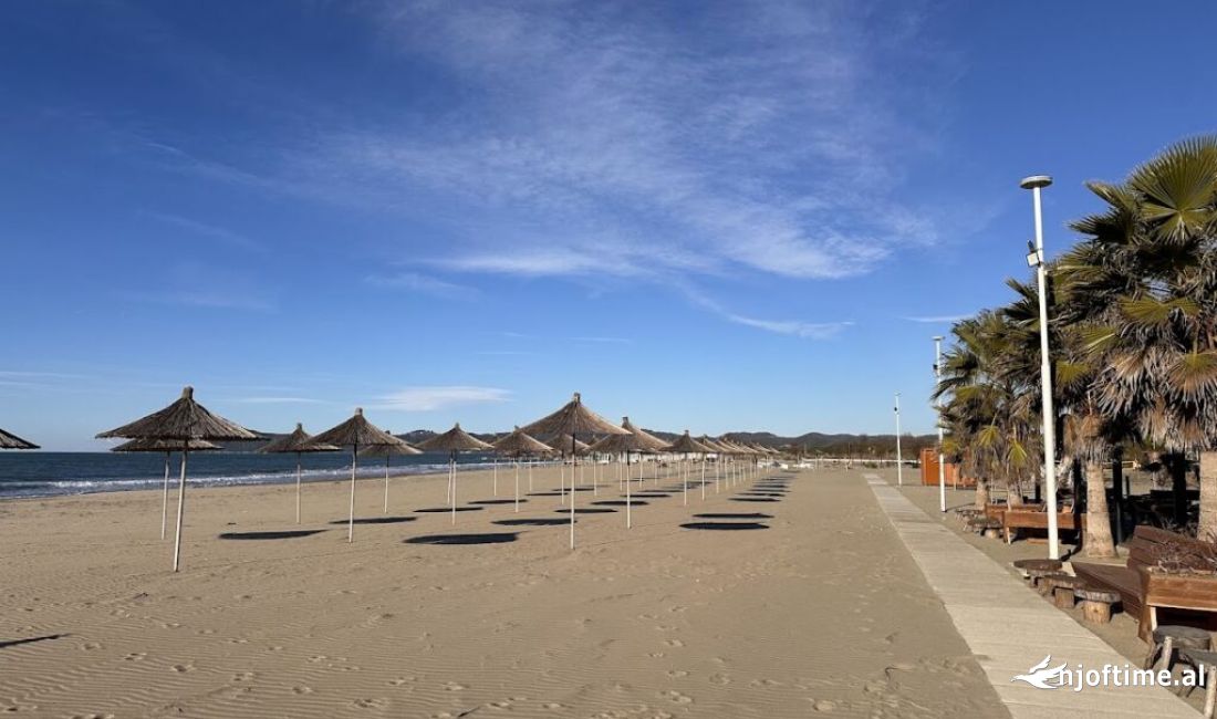 TOKE PER SHITJE NE BREGDET, HAMALLAJ !