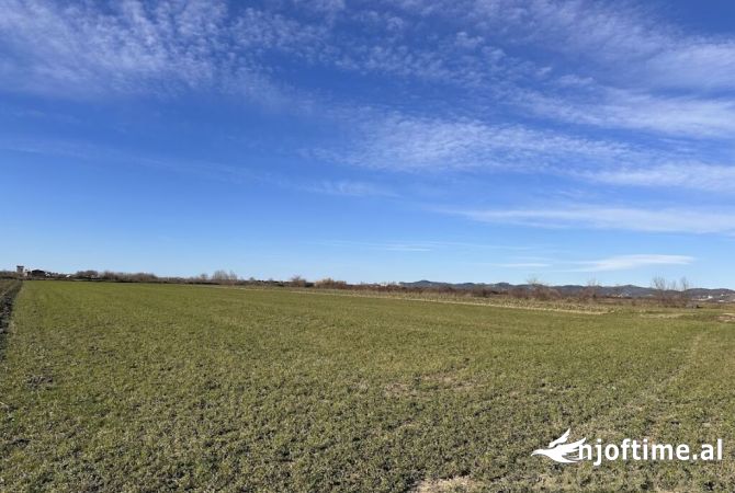 TOKE PER SHITJE NE BREGDET, HAMALLAJ !