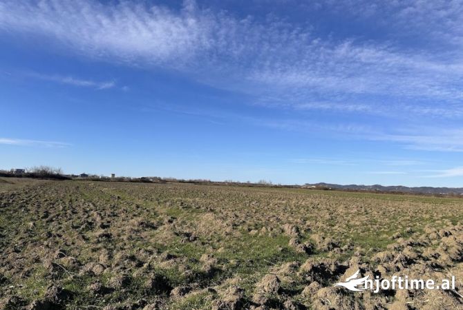 TOKE PER SHITJE NE BREGDET, HAMALLAJ !