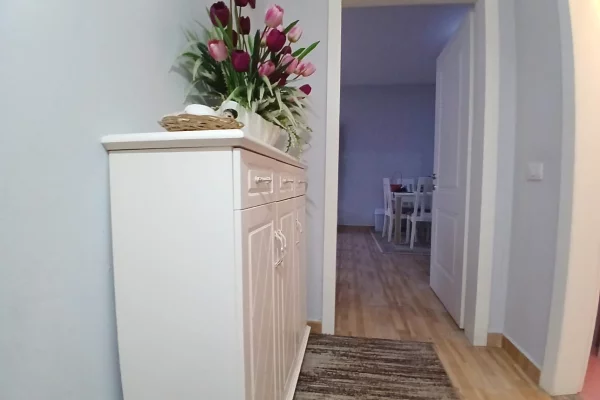 Shtepi me qera Apartament ne Tirane, 2+1, Mobilimi E mobiluar, Pagesa 58,000  Leke.