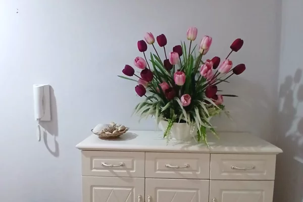 Shtepi me qera Apartament ne Tirane, 2+1, Mobilimi E mobiluar, Pagesa 58,000  Leke.