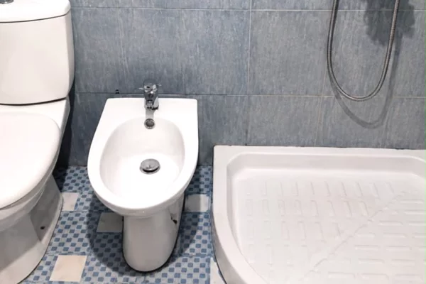 Shtepi me qera Apartament ne Tirane, 2+1, Mobilimi E mobiluar, Pagesa 530  Euro.