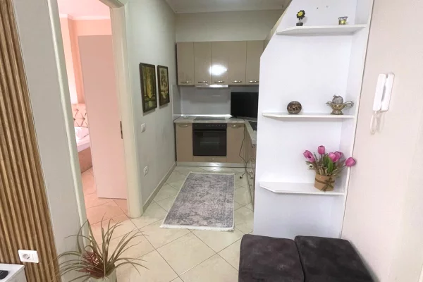 Shtepi me qera Apartament ne Tirane, 1+1, Mobilimi E mobiluar, Pagesa 60,000  Leke.