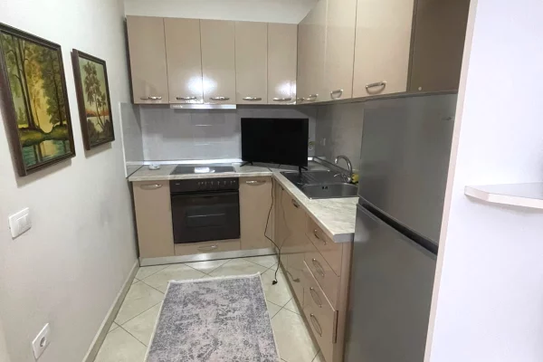 Shtepi me qera Apartament ne Tirane, 1+1, Mobilimi E mobiluar, Pagesa 60,000  Leke.
