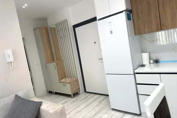 Shtepi me qera Apartament ne Tirane, 1+1, Mobilimi E mobiluar, Pagesa 70,000  Leke.