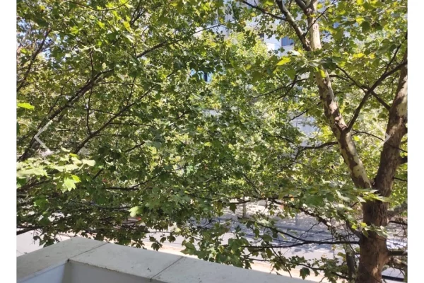 Shtepi me qera Apartament ne Tirane, 2+1, Mobilimi E mobiluar, Pagesa 60,000  Leke.