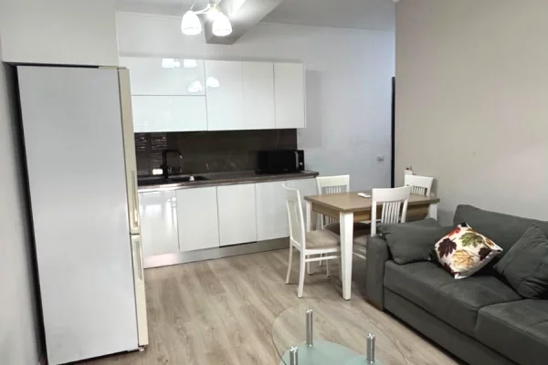 Shtepi me qera Apartament ne Tirane, 1+1, Mobilimi E mobiluar, Pagesa 60,000  Leke.