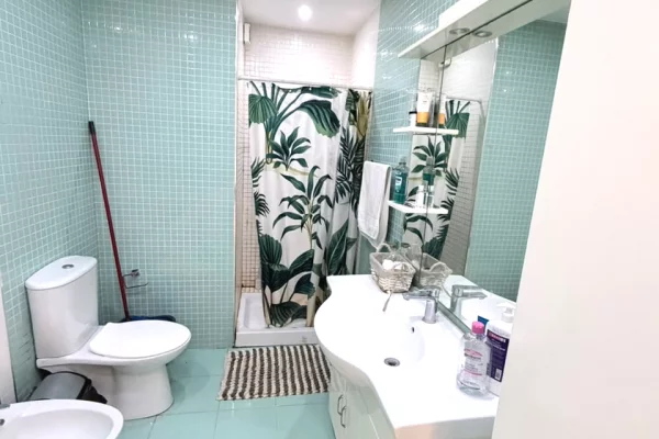 Shtepi me qera Apartament ne Tirane, 1+1, Mobilimi E mobiluar, Pagesa 55,000  Euro.