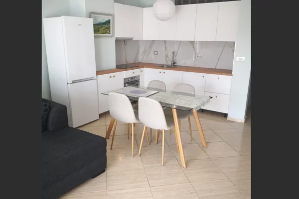 Shtepi me qera Apartament ne Tirane, 1+1, Mobilimi E mobiluar, Pagesa 55,000  Leke.