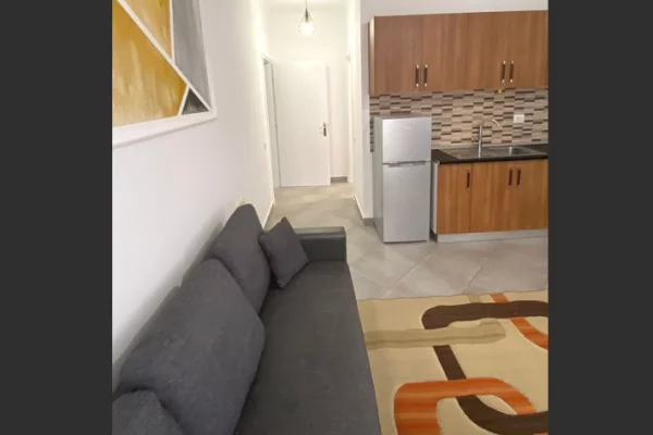 Shtepi me qera Apartament ne Tirane, 1+1, Mobilimi E mobiluar, Pagesa 40,000  Leke.