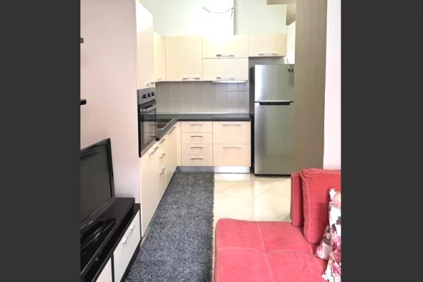 Shtepi me qera Apartament ne Tirane, 1+1, Mobilimi E mobiluar, Pagesa 38,000  Leke.