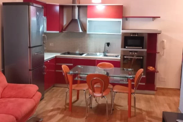 Apartment for rent in Tirana 1+1, Furnished