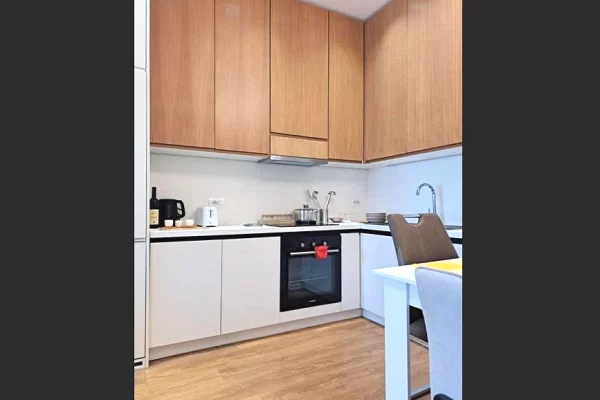 Apartment for rent in Tirana 1+1, Furnished