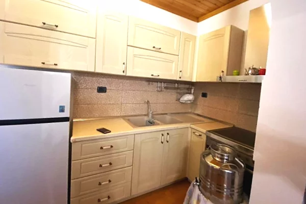 Shtepi me qera Apartament ne Tirane, 1+1, Mobilimi E mobiluar, Pagesa 35,000  Leke.