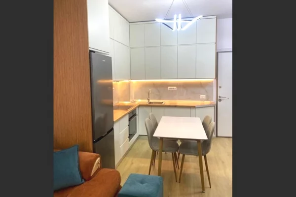 Shtepi me qera Apartament ne Tirane, 1+1, Mobilimi E mobiluar, Pagesa 400  Euro.