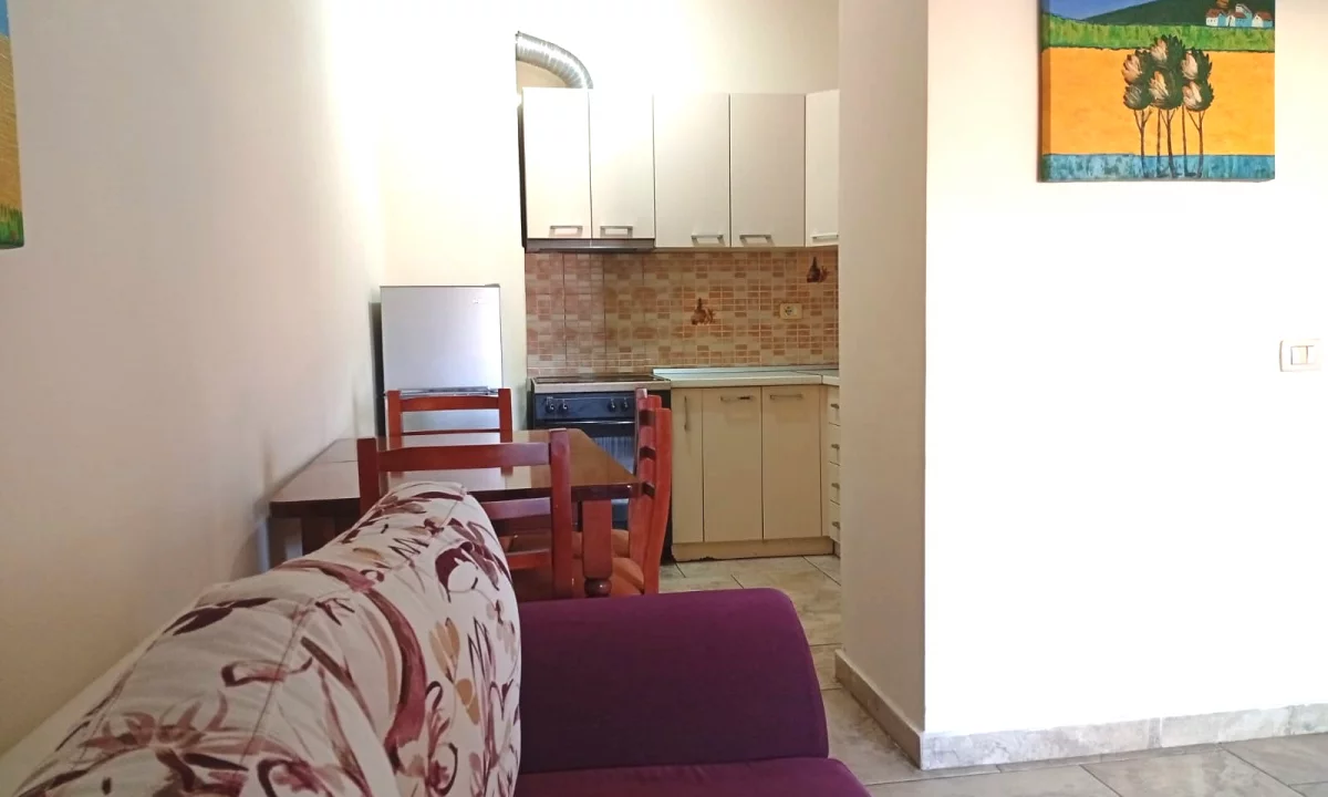 Apartment for rent in Tirana 1+1, Furnished