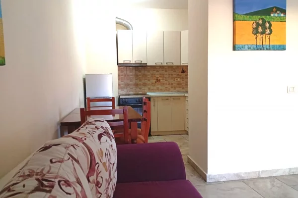 House for Rent 1+1 in Tirana - 38,000 Leke