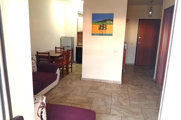 Apartment for rent in Tirana 1+1, Furnished