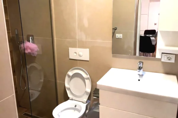 Shtepi me qera Apartament ne Tirane, 1+1, Mobilimi E mobiluar, Pagesa 550  Euro.