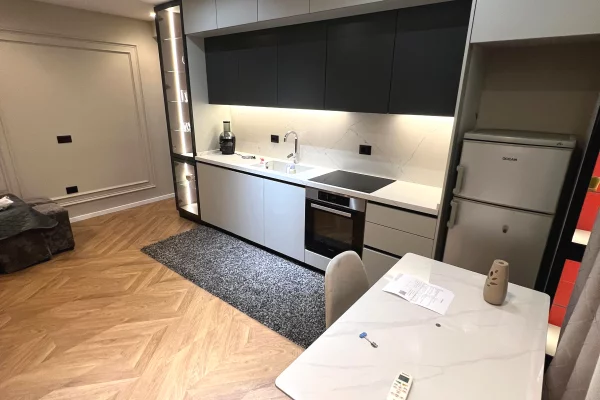 Shtepi me qera Apartament ne Tirane, 1+1, Mobilimi E mobiluar, Pagesa 65,000  Leke.