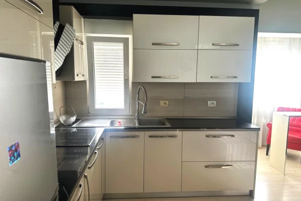 Shtepi me qera Apartament ne Tirane, 1+1, Mobilimi E mobiluar, Pagesa 50,000  Leke.