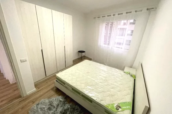 Shtepi me qera Apartament ne Tirane, 1+1, Mobilimi E mobiluar, Pagesa 55,000  Leke.