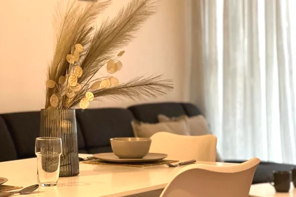 Shtepi me qera Apartament ne Tirane, 1+1, Mobilimi E mobiluar, Pagesa 650  Euro.