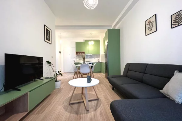 Shtepi me qera Apartament ne Tirane, 1+1, Mobilimi E mobiluar, Pagesa 650  Euro.