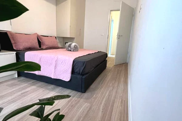 Shtepi me qera Apartament ne Tirane, 1+1, Mobilimi E mobiluar, Pagesa 650  Euro.