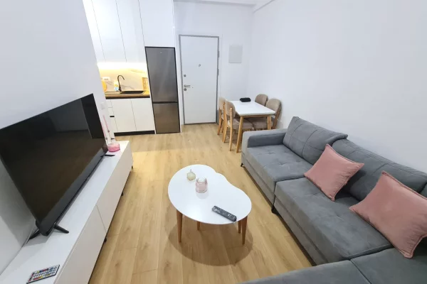 Shtepi me qera Apartament ne Tirane, 1+1, Mobilimi E mobiluar, Pagesa 430  Euro.