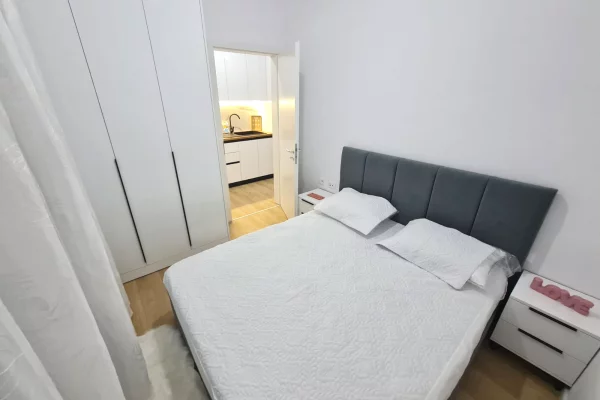 Shtepi me qera Apartament ne Tirane, 1+1, Mobilimi E mobiluar, Pagesa 430  Euro.