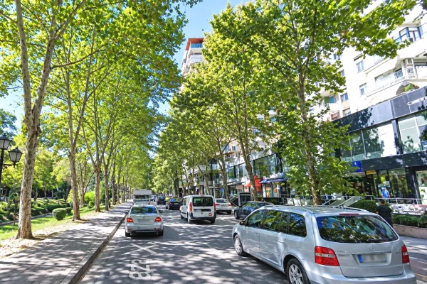 Shtepi me qera Apartament ne Tirane, 2+1, Mobilimi E mobiluar, Pagesa 700  Euro.