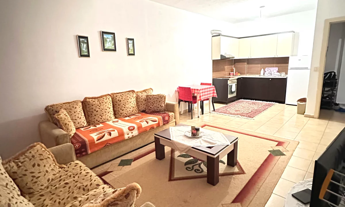 Shtepi ne shitje Apartament ne Tirane, 1+1, Mobilimi E mobiluar, Pagesa 98,000  Euro.